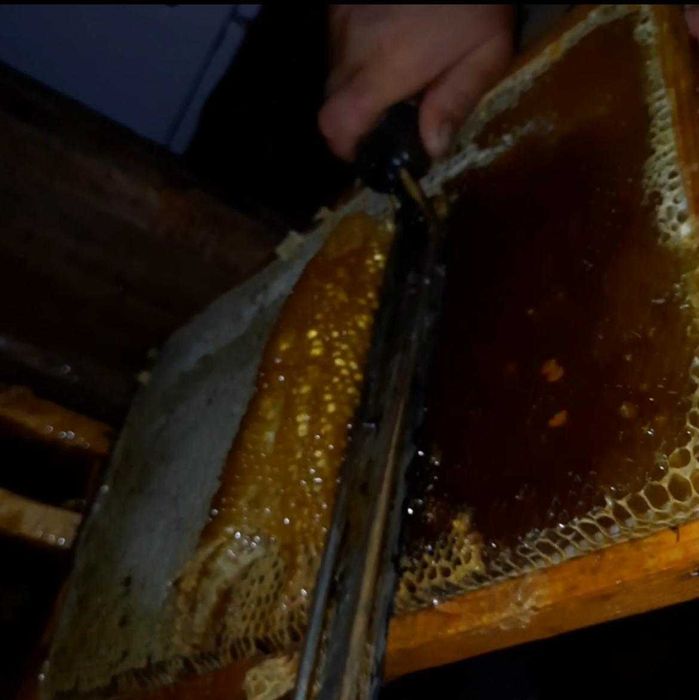 Продам горный натуральный мед