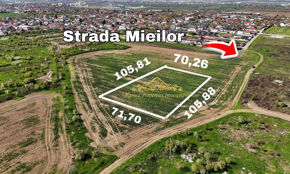 Teren de vânzare pentru investiție construcție case Glina