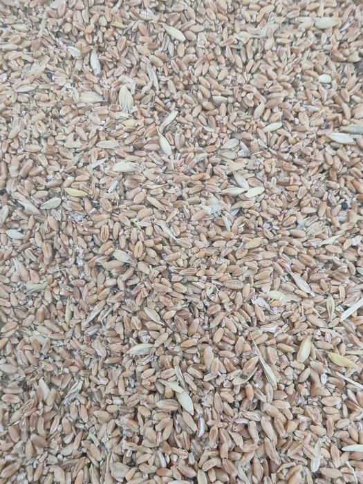 Продаю сечку 3800 мешок 40 кг