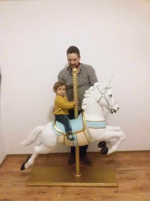 Unicorn Carusel roz/bleu pentru sedinte foto