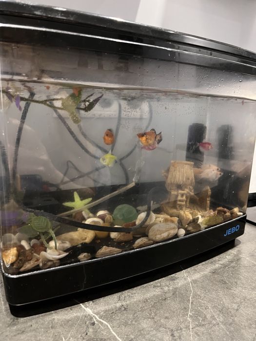 Аквариум с рыбками