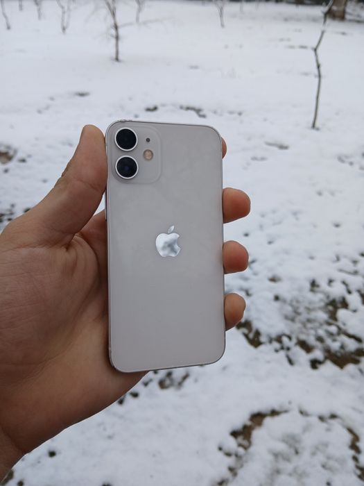 IPhone 12 mini ideal