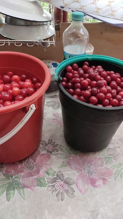 Продам дачу, в районе Пригородны, Черемушки