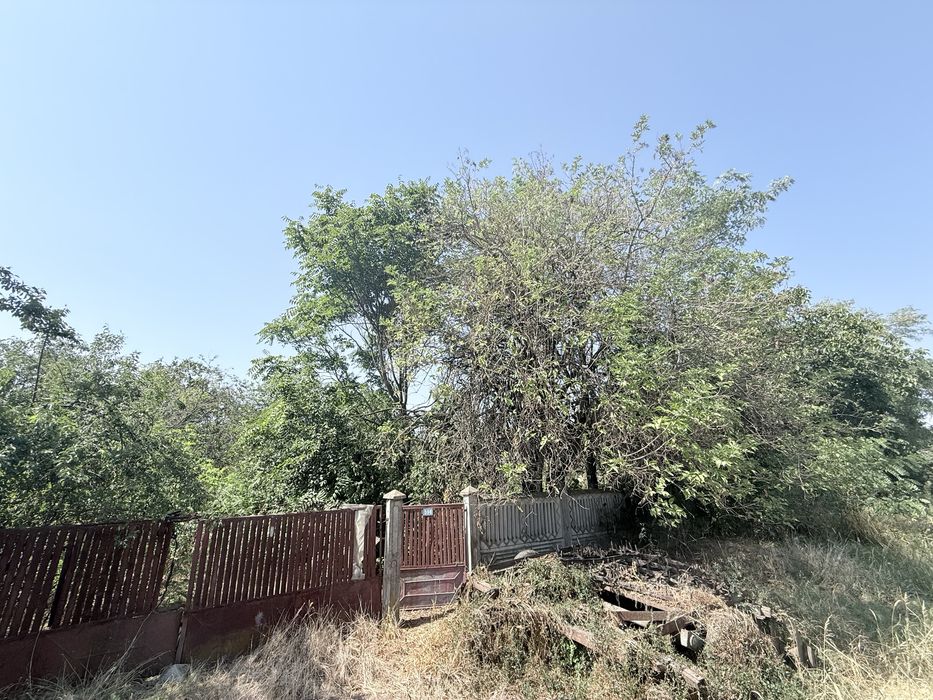 Casa de vanzare Cernetu, jud. Teleorman 2403 mp