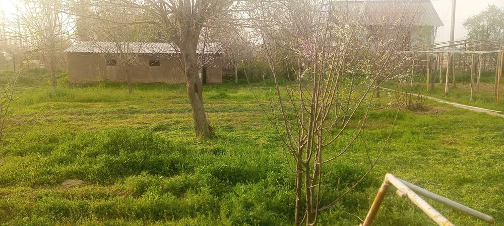 Дача сотилади 6 сотих