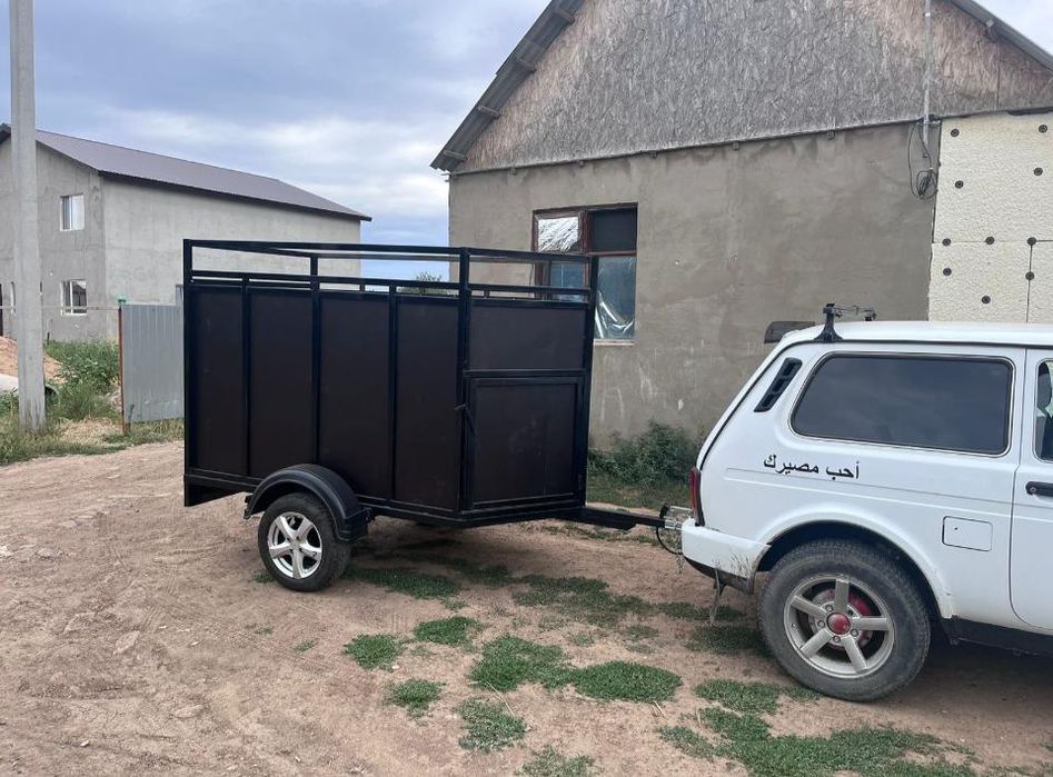 Каневоз сатлады заказга