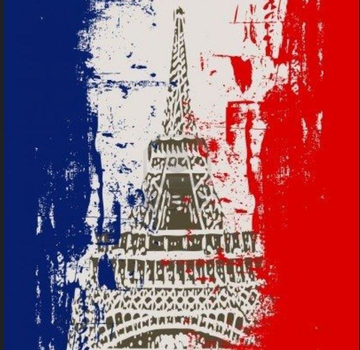 Meditații : limba franceză (fizic/online)