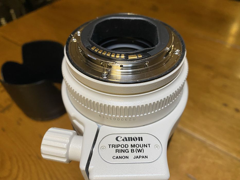Canon 70-200 f2,8 L  IS  II USM