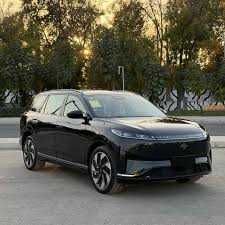 Dongfeng 008 MAX