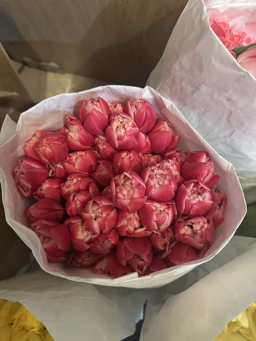 Продам тюльпаны крупные по вкусной цене