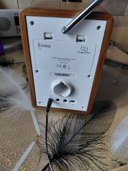 Vind radio Pure evoke d2