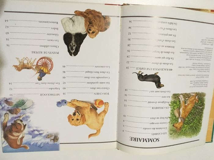 2 детски книжки на френски и английски език Les Chiens кучета