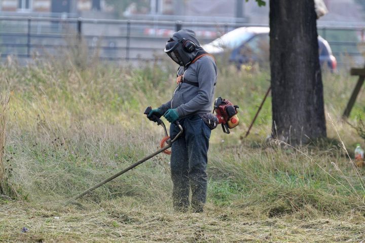 косене на трева кърти чисти извозва