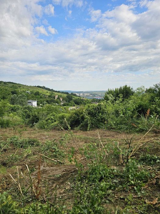 Teren intravilan Vladiceni Tomesti