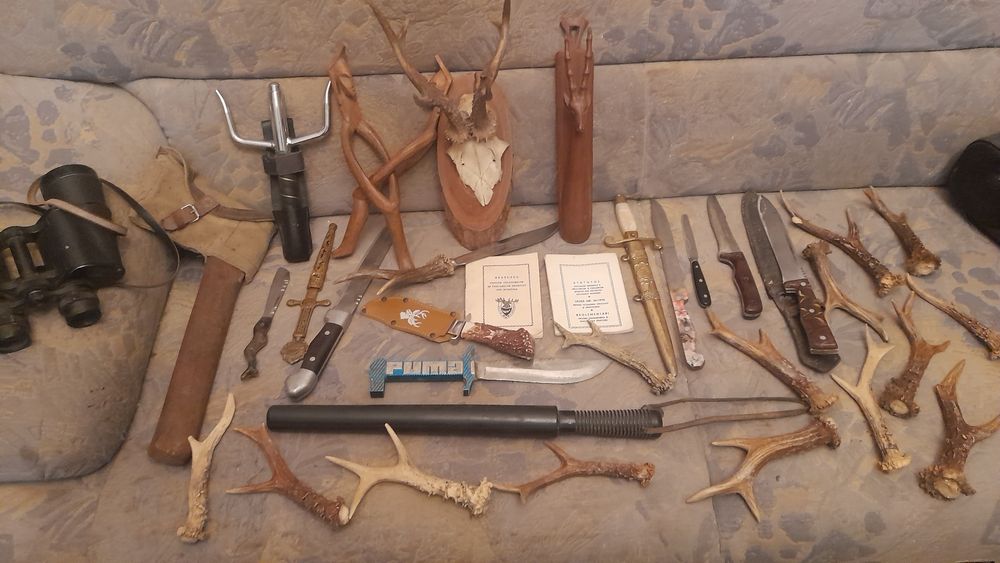 Cornite de caprior..