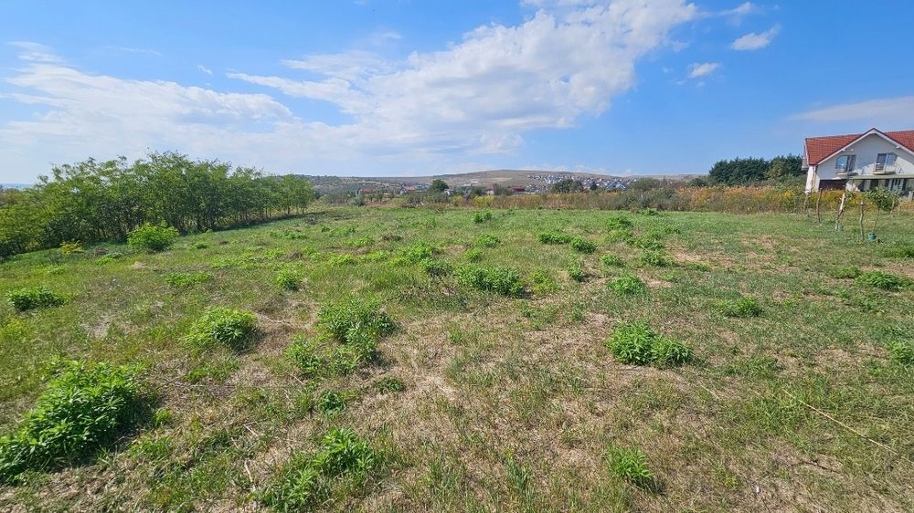 Vand teren intravilan Jucu - zona Panemar