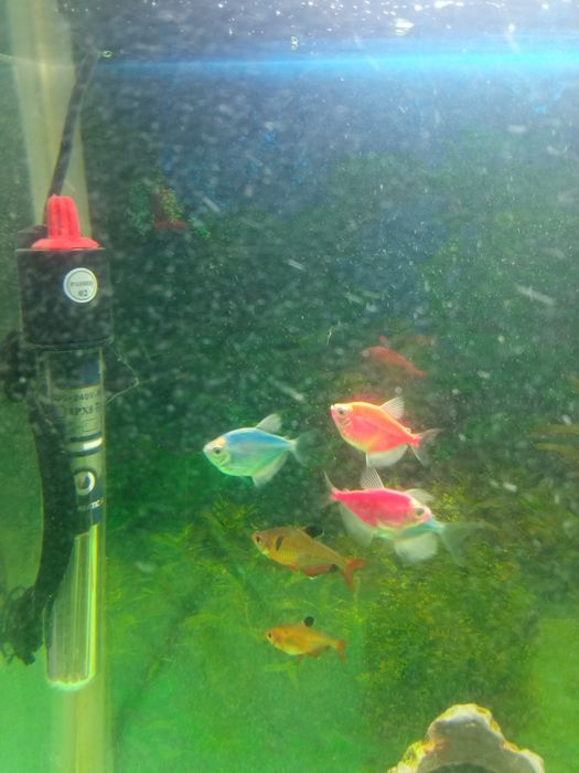 Продам аквариум на 40 л