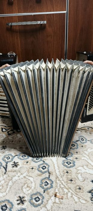 Woltmeister serina