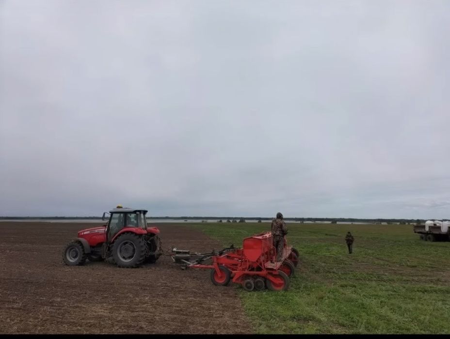 Сеялка сзт продам