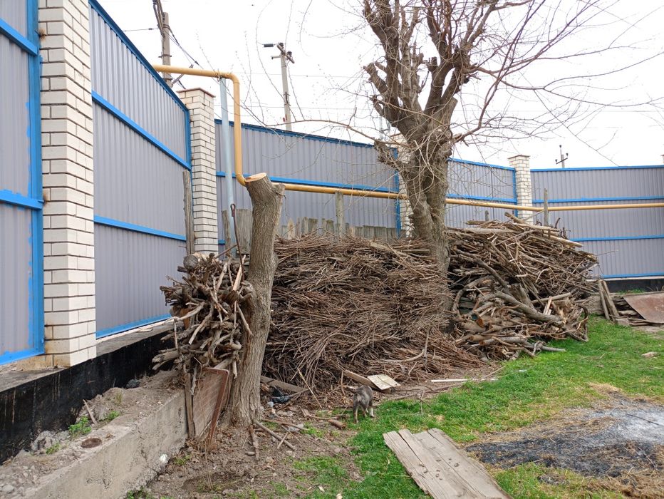 Arzon narxda O'tin sotiladi