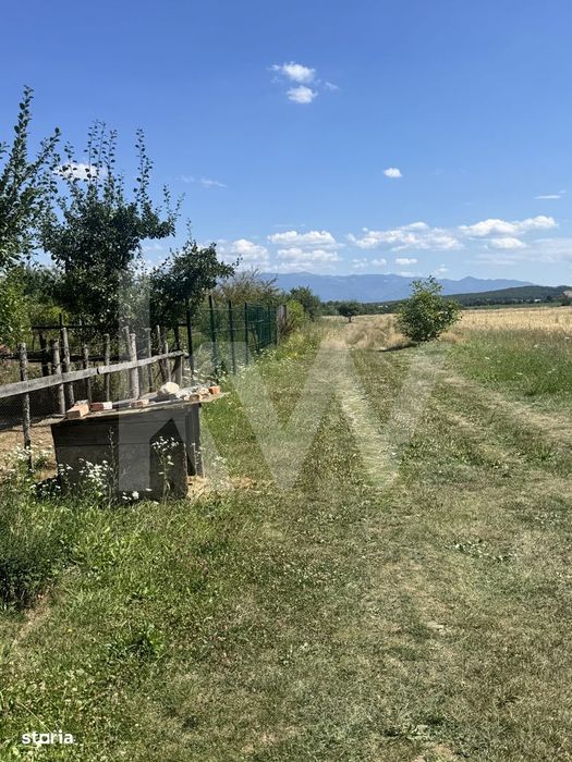 Teren 720 mp Sevis | 23 m front | Oportunitate investitie 24.480€