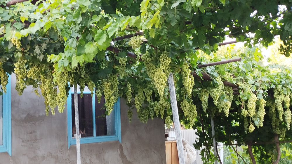 Продам дом в центре города.