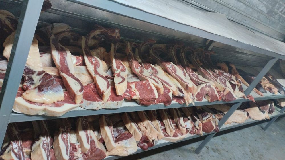 Продам мясо от конины