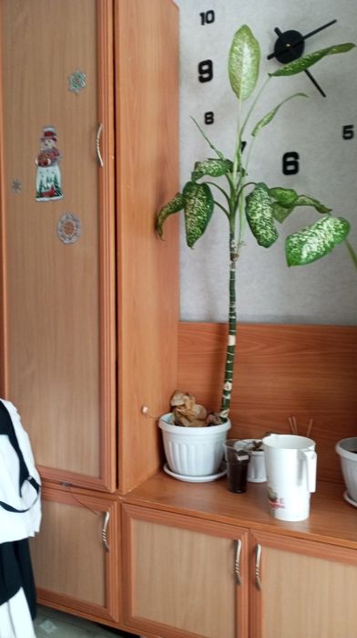 Отдам даром шкаф