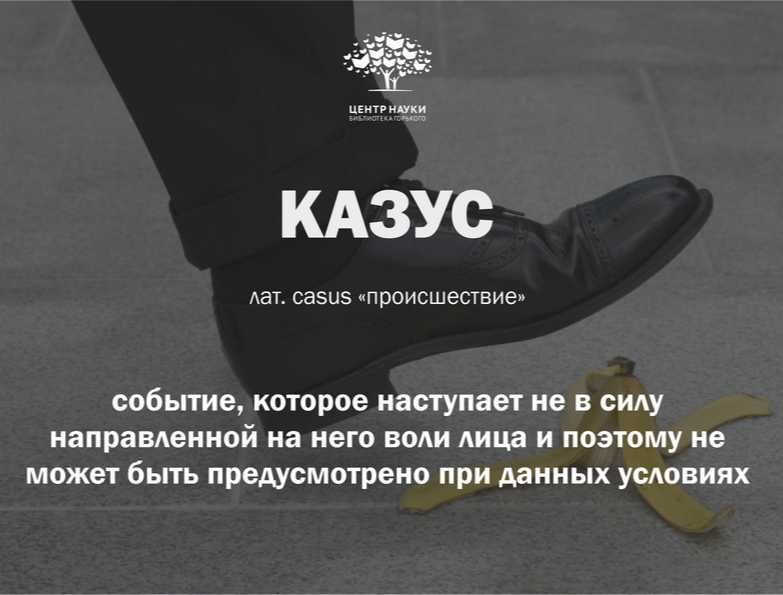 Решаю казусы всех видов (юридические / политические / исторические)