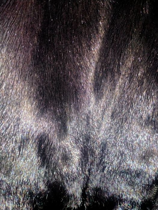 Продам норковую шубу