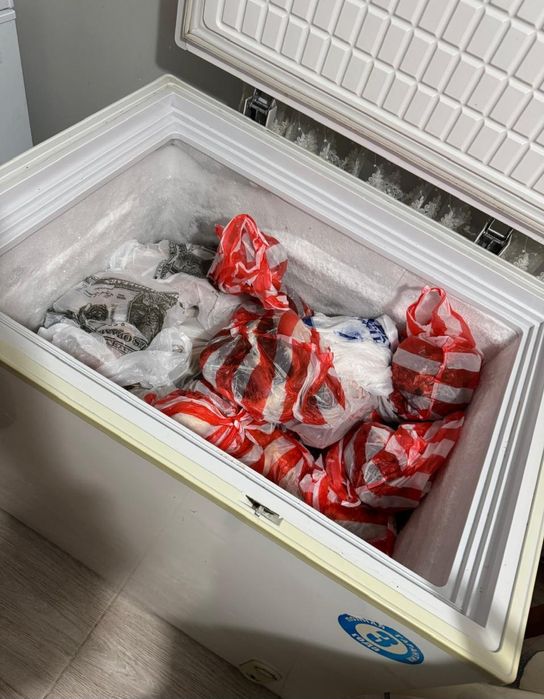 Морозильная камера