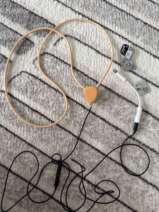 Бръмбар за преписане