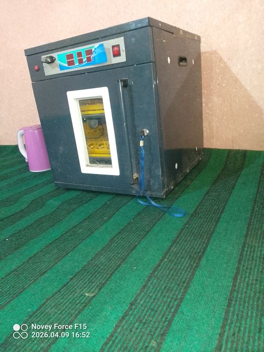 Inkubator qutisi