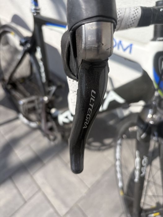Cursiera carbon.