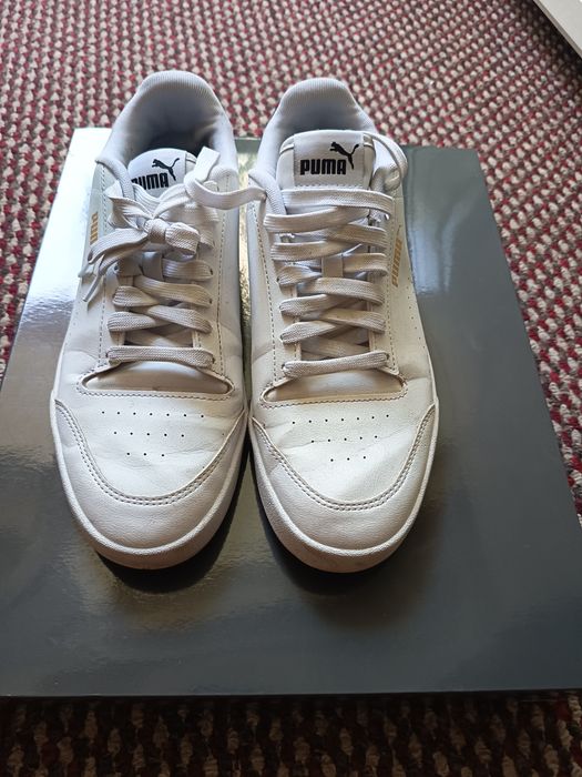 Puma since 1848 Italy