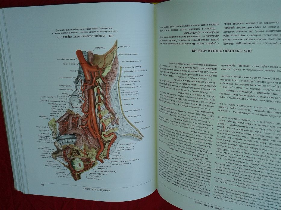 Атласи по анатомия на човека Синелников атлас по медицина стоматология