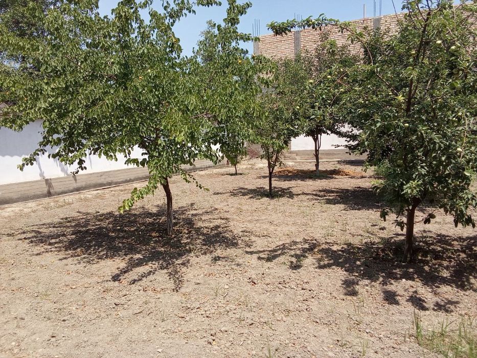 Qumariq mahallada yer sotiladi