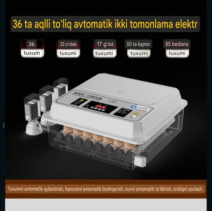Inkubator Avtomat Sotiladi 36 talik Yangi