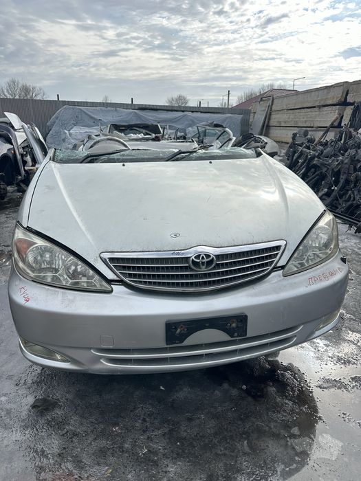 Разбор семей тоета