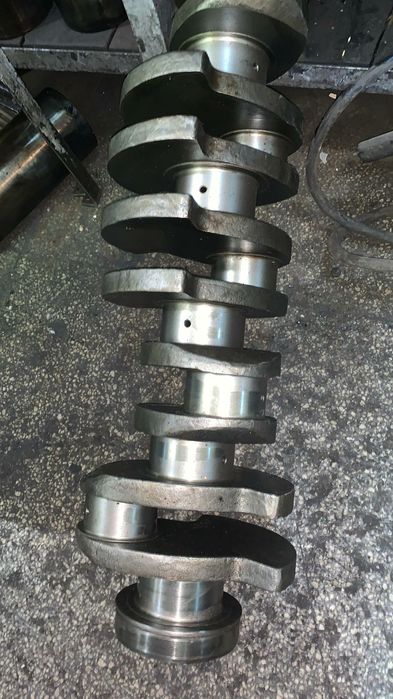 Arbore cotit raba  romanesc