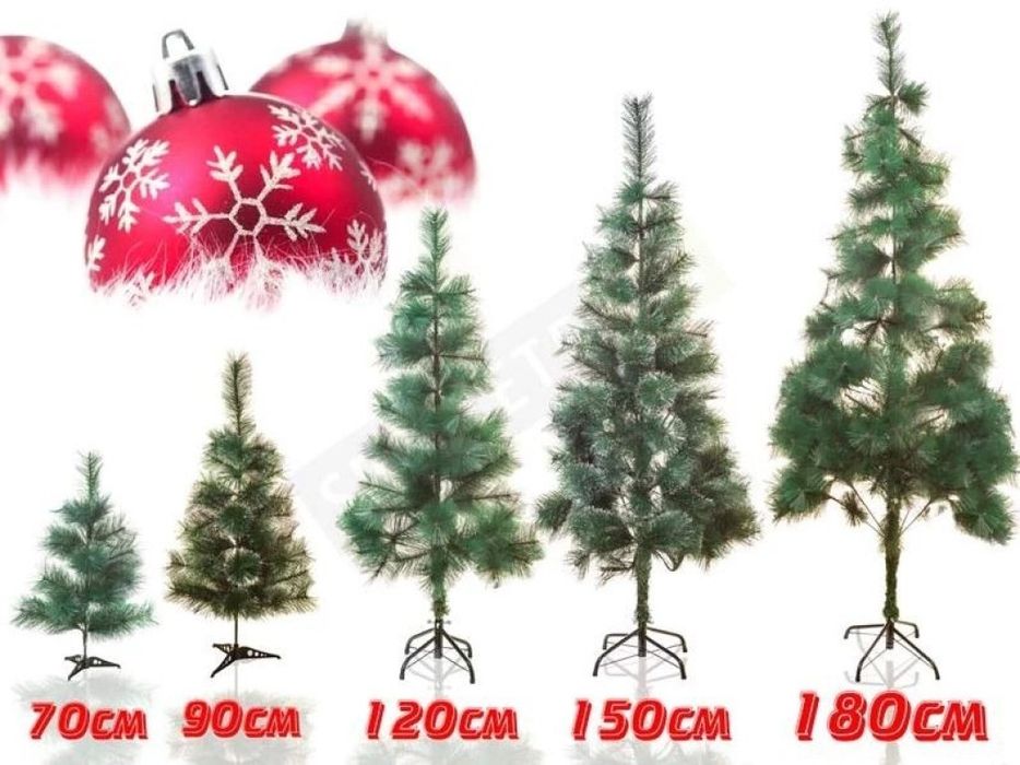 ЕЛХА РАЗЛ. РАЗМЕРИ
Коледно борче със зелени връхчета различни размери