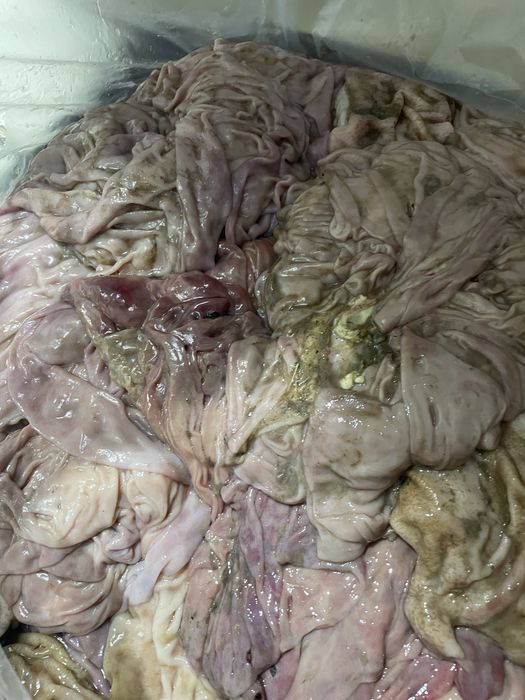 Сычуг корм для собак