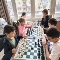 Преподаватель по шахматам. Репетитор