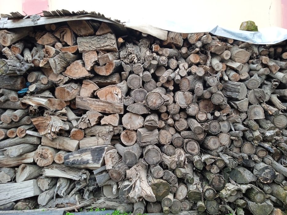 Tayyor qurigan oʻtinlar