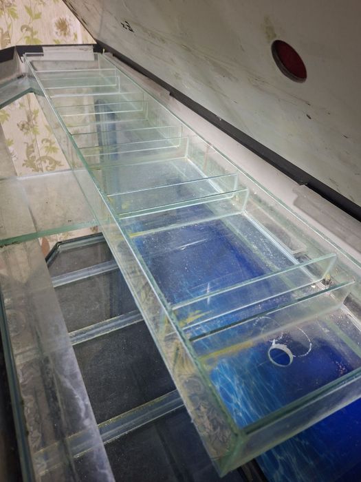 Аквариум  срочно