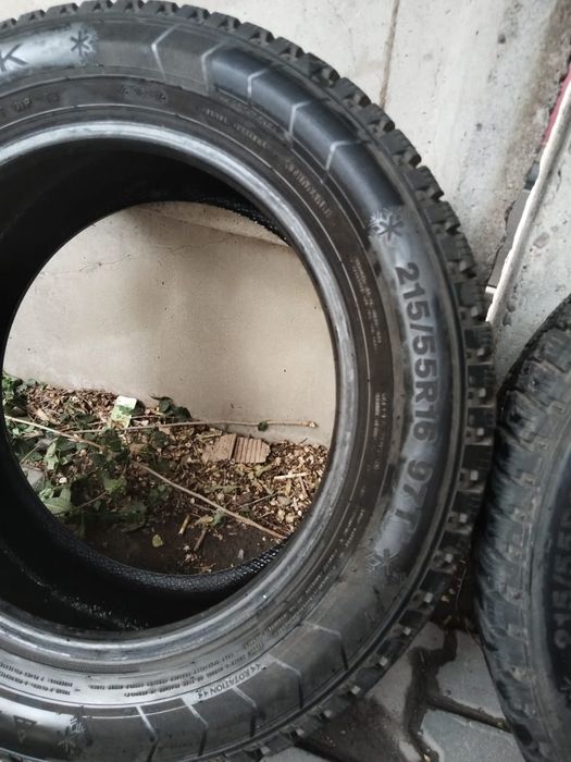 Зимние шины TRAINGLE