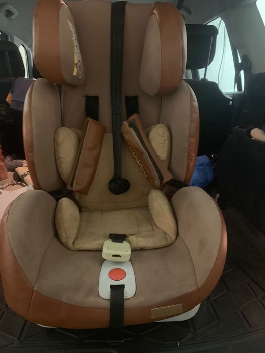 Столчета за кола Chippolino Nomad