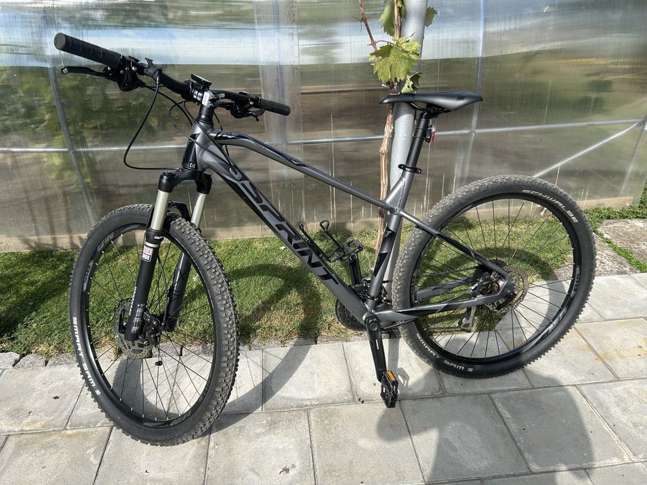 Sprint apolon rock shok