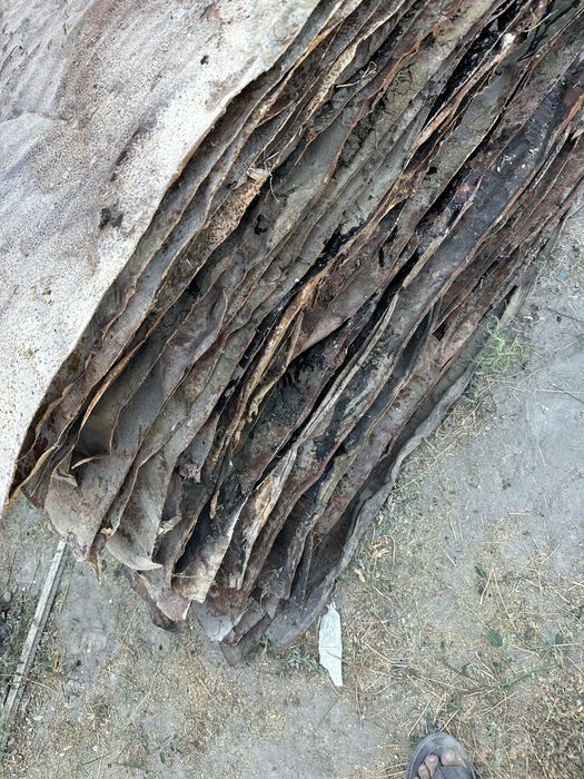 Bochka listlari sotiladi 1,5 kv