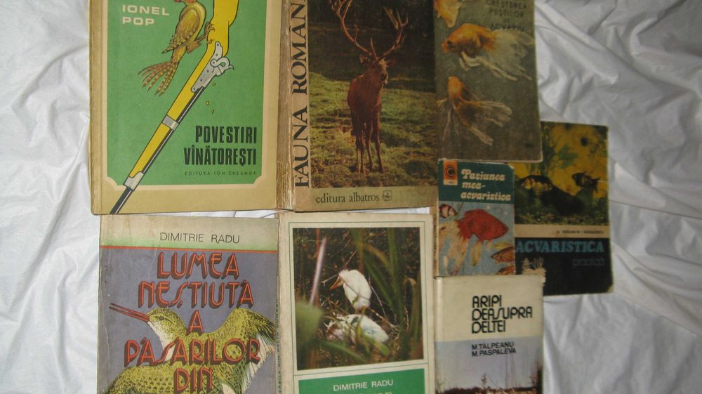 Acvaristica, fauna Romaniei, pasari Delta Dunarii